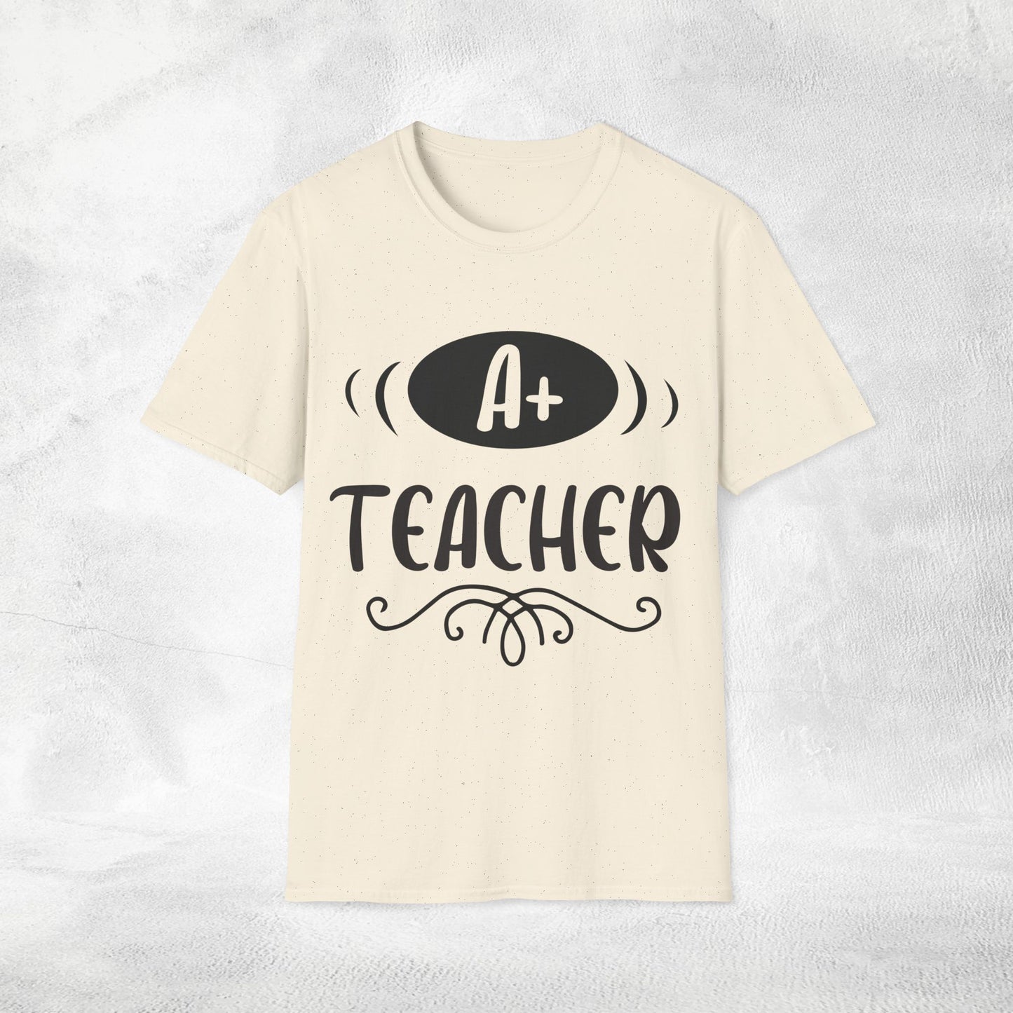 teacher shirt A+ teacher